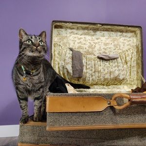 🧳 Shop information